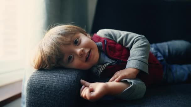 かわいい表情のカメラを見ながらソファーに置かれた2歳の男の子 ブロンドの慎重な子供の肩の休息に頭が傾いているクローズアップフェイス — ストック動画
