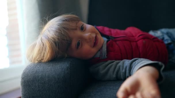 迷人的两岁男孩坐在沙发上凝视着相机 可爱的表情 金发白种人蹒跚学步 肩膀上抱着头 — 图库视频影像