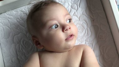 Pencereden bakan sevimli bebek portresi