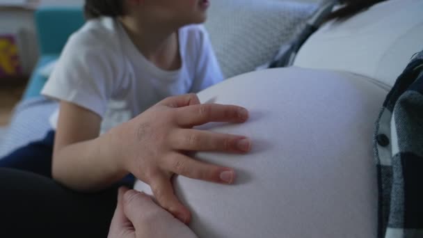 妊娠3年目に母親の妊娠中の腹の上に休む子供の手 兄弟と生まれていない赤ちゃんの間の母親の概念 穏やかな接触 — ストック動画