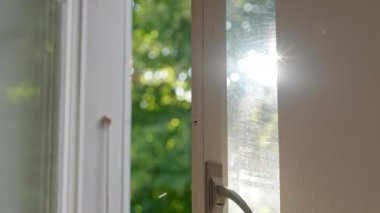 Güneş Işığı Aralıklı Pencereden Girer - Güneşin Yansıması, Bitkiler Arasındaki Işık