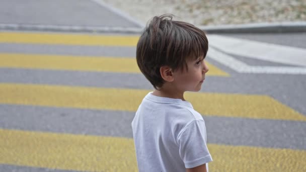 Kleine Jongen Wacht Het Juiste Moment Veilig Straat Steken Dan — Stockvideo