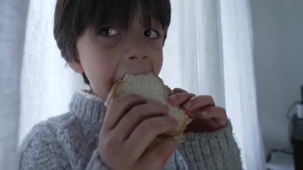 Sandwich Pour Enfants Gros Plan Sur Main Visage Petit Garçon — Video