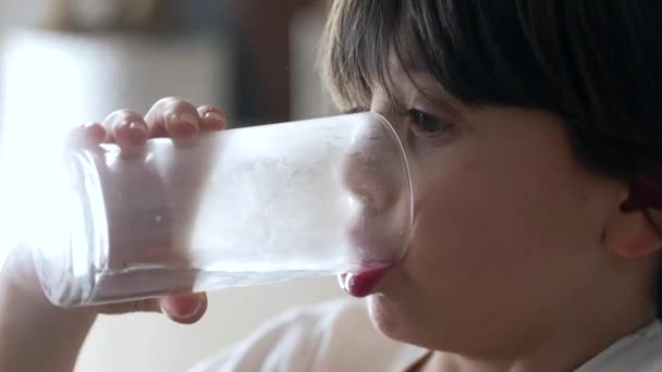 Žíznivé Dítě Pije Sklenici Vody Uhasí Žízeň Letý Chlapec Profil — Stock video