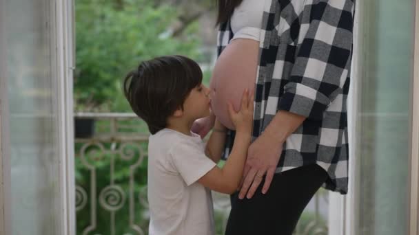 怀孕三个月 爱孩子的亲吻和拥抱妈妈的腹部 对未出生的小弟弟表现出爱心 — 图库视频影像