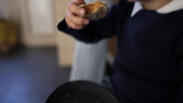 小男孩吃着带有奶酪的面包 小孩在下午的小吃中吃了一小口碳水化合物食物 — 图库视频影像