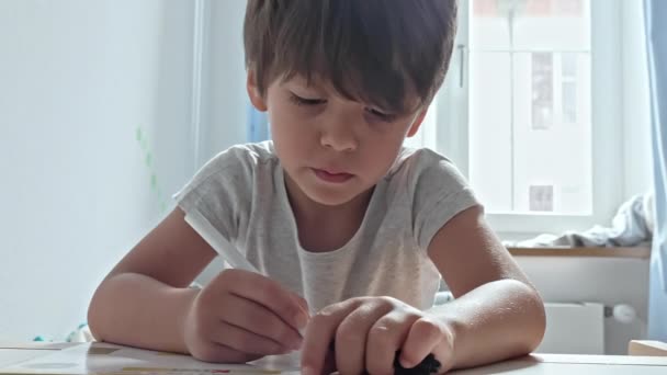 Bambino Pratica Calligrafia Durante Compiti Scuola — Video Stock