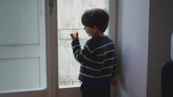 Tyłu Kontemplacyjny Mały Chłopiec Patrząc Zewnątrz Widok Okna Mieszkania Podczas — Wideo stockowe