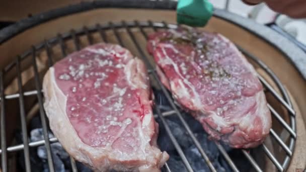 Bbq Mastery Turning Marinated Steaks Compact Charcoal Grill — Stock video