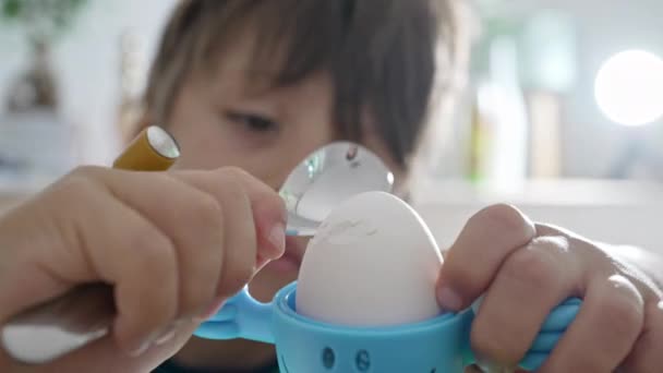 朝食楽しい 若い男の子は 彼の最愛の子供フレンドリーな卵ホルダーで卵をクラッキング — ストック動画