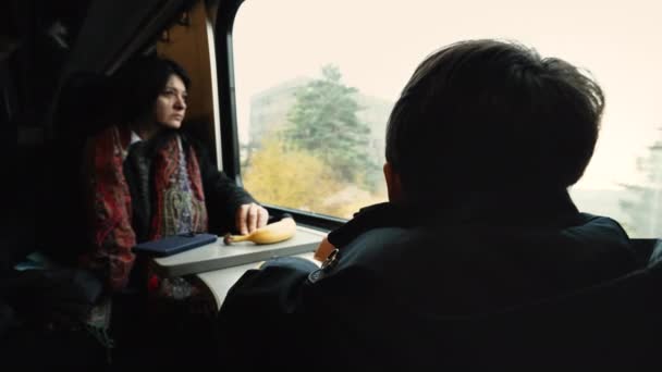 Anne Çocuk Tren Yolculuğunda Sonbaharda Pencere Tarafından Oğlanın Dönüşü — Stok video