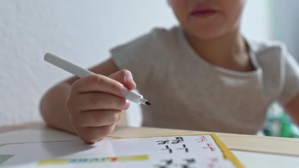 宿題をしながら書道のスキルを洗練する小さな子供 — ストック動画