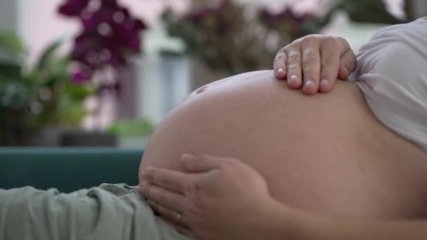 Terhes Simogatja Hasa Közelkép Felkészülve Élet — Stock videók