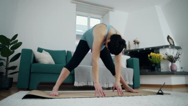 Pränatale Bewegung Schwangere Frau Wohnzimmer Demonstriert Sicheres Stretching Und Körpertraining — Stockvideo