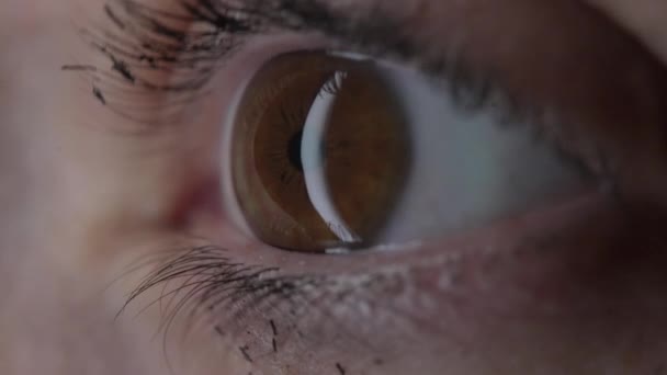 Extreme Macro Κοντινό Πλάνο Του Βλεφάρου Της Γυναίκας Σφιχτό Iris — Αρχείο Βίντεο