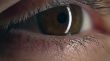 Detaylı makro göz bebeği göz bebeğini odakla, aşırı yoğun bakış.