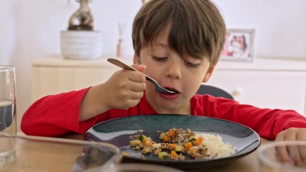 Niño Toma Abundantes Forkfuls Plato Rico Nutrientes Arroz Carne Verduras — Vídeo de stock