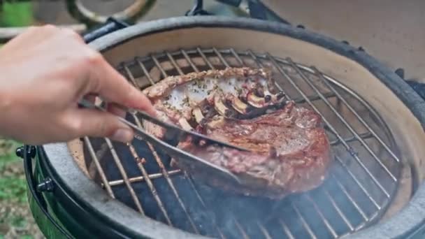 Accendere Bistecca Barbecue Giardino Griglia — Video Stock