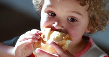 Sandviç yiyen küçük çocuk, jambonlu ve peynirli ekmek yiyen çocuk.