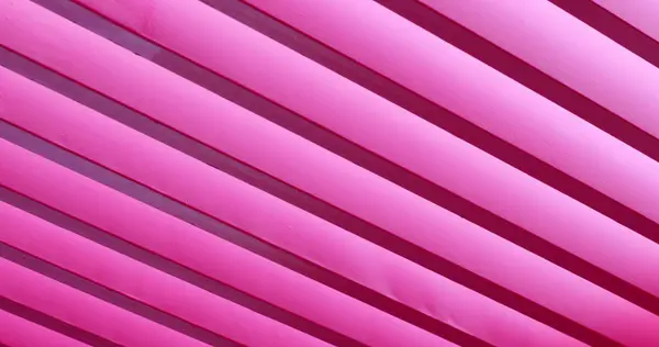 Pink line patterns, architecture colorful gradient lines
