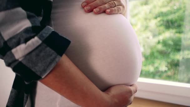 Mujer Embarazada Los Meses Acariciando Vientre Por Ventana Hogar Pacífico — Vídeo de stock