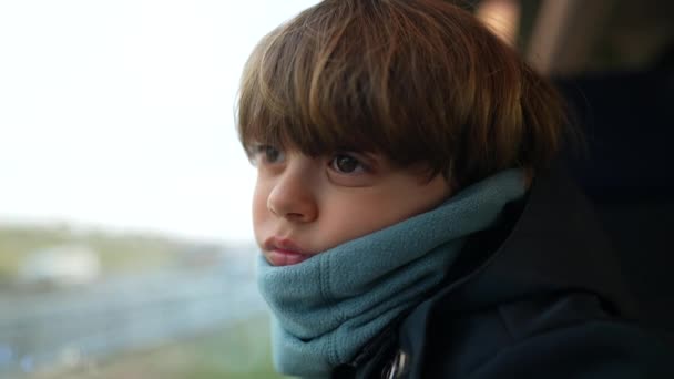 Enfant Contemplatif Introspectif Voyageant Train Appuyé Sur Fenêtre Regardant Les — Video