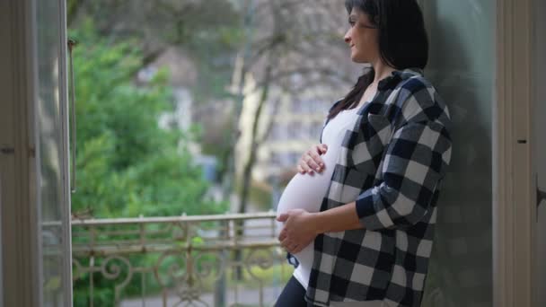 Šťastná Těhotná Žena Jemně Hladí Břicho Stojící Okna Bytě Balkon — Stock video
