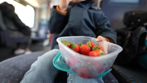 年轻的手抱着装满浆果的容器 在火车上旅行时 — 图库视频影像