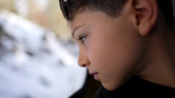 Train Journey Contemplation Child Thoughtful Gaze Scenery While Leaning Train — Stock Video