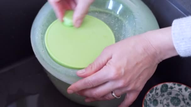 Secagem Verduras Folhosas Com Spinner Por Pia Cozinha Preparando Salada — Vídeo de Stock
