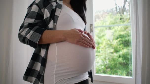 Madre Embarazada Los Meses Acariciando Tiernamente Vientre Por Ventana Vista — Vídeos de Stock