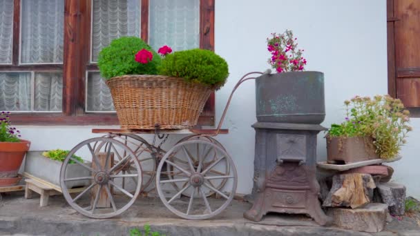Különleges Európai Lakberendezési Tárgyak Virágcserepek Vidéki Kiegészítők Svájci Utcai Bemutatója — Stock videók