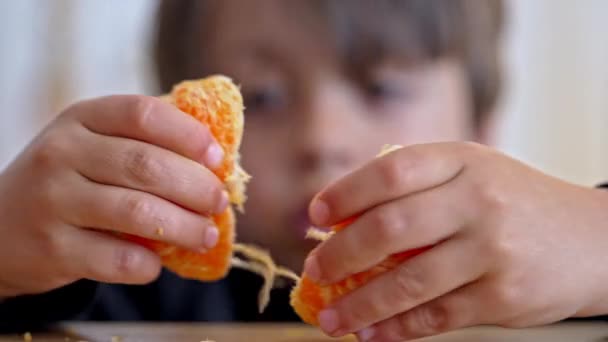 Barn Dela Mat Little Boy Delar Tangerine Två Halvor Och — Stockvideo