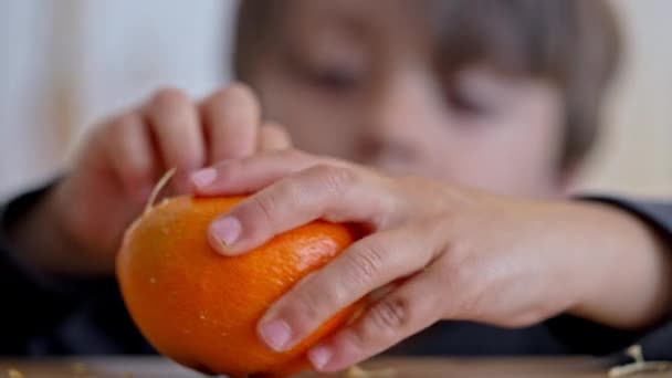 Deliciosa Delicia Cítrica Niño Pela Diligentemente Mandarina Para Una Golosina — Vídeos de Stock