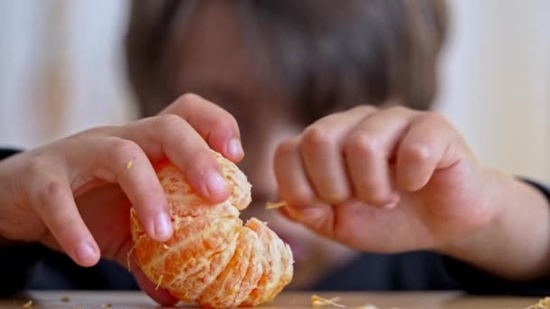 Pozornost Detailu Youngster Pečlivě Odstraňuje Vlákna Před Požitkem Jeho Mandarinky — Stock video