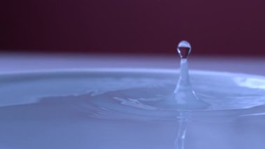 Damlacık yavaş çekimde su yüzeyine düşer ve çarpışmayı 1000 fp 'de yakalar.