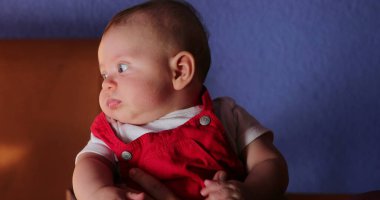 Portrait of handsome baby observing wearing red clothing in blue background