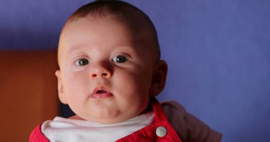 Handsome baby boy portrait wearing infant observing