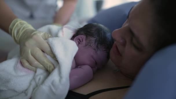 出産直後に新生児を泣かそうとする看護師の手 出産時に母親の胸に休む赤ちゃんの最初の数秒 新しい人生の鳥 — ストック動画