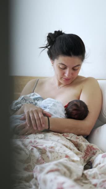 母亲在婴儿出生的头几天在床上哺乳 抱着母亲 30多岁的妇女享受 照料和喂养婴儿 — 图库视频影像