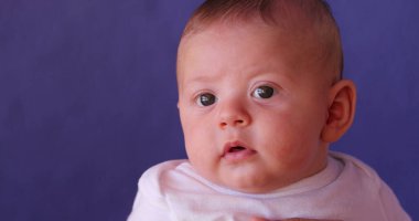 Portrait of cute newborn baby infant boy observing