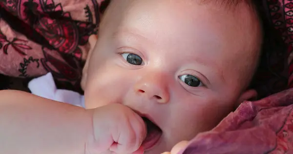 Portrait Cute Adorable Newborn Baby Infant Hand Mouth — Photo