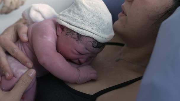 Momento Nascimento Momento Nascimento Real Bebê Recém Nascido Descansando Peito — Vídeo de Stock