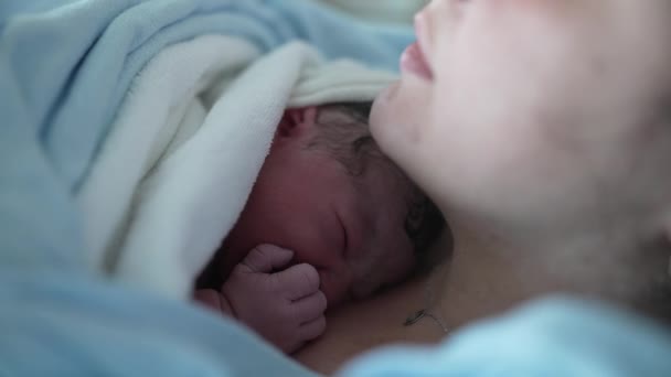 Newborn Baby Resting Mother Chest Right Birth Emphasizing Skin Skin — Vídeo de stock
