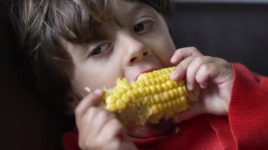 Evde mısır yiyen tatlı küçük çocuk.