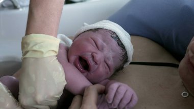 Yakın plan yeni doğan bebek doğumdan hemen sonra ilk kez ağlıyor. Bebekliğin ilk saniyeleri anne karnından cilt temasına dayanmış vaziyette ayrılır.