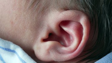 Yeni doğmuş bir bebeğin kulağının mavi ve beyaz çizgili bir gömleğe sarılı görüntüsü. Detaylı görüntü, yeni doğan bir bebeğin hassas özelliklerini ve hassasiyetini gösteriyor. Masumiyet ve kırılganlığı vurguluyor.