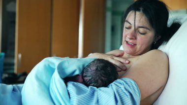 New Mother Breastfeeding Her Newborn at Hospital, Emphasizing First Feeding and Maternal Care Post-Birth clipart