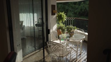 Sunlit Ambiance 'da Bitkiler ve Mobilyalarla Konforlu Balkon Kurulumu