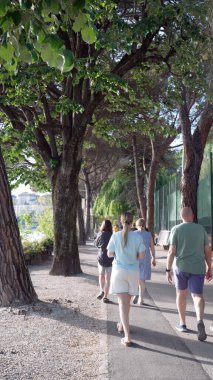 Ağaçlık yolda yürüyen bir grup insan, güzel bir doğa manzarası ve sakin bir atmosferle, büyük ağaçların gölgesinde huzurlu bir gezinti yapıyorlar.